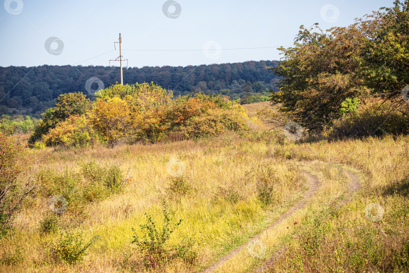Скачать Осенний пейзаж: поле, лес и линия электропередачи фотосток Ozero