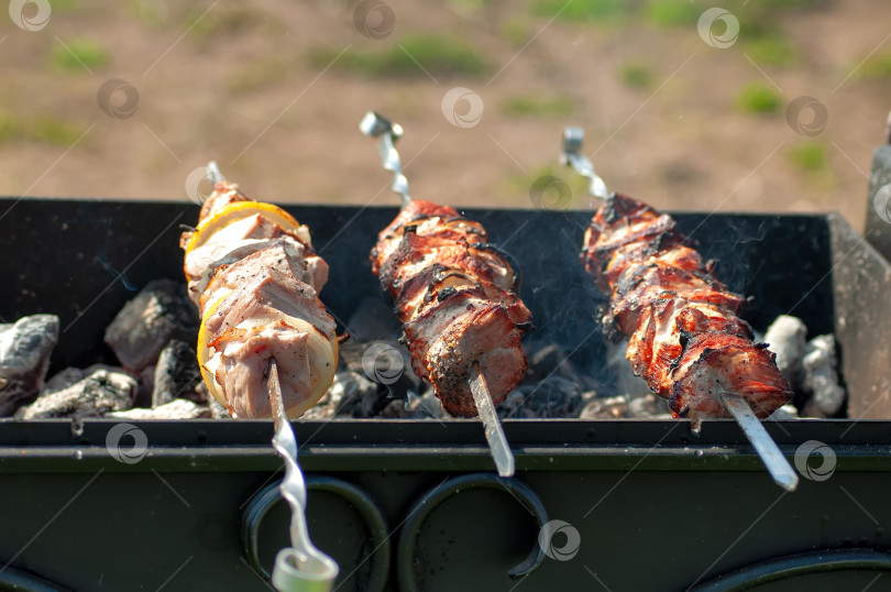 Скачать Шашлык из свинины на шпажках, приготовленный на углях, сырое мясо, шесть шпажек с мясом. фотосток Ozero