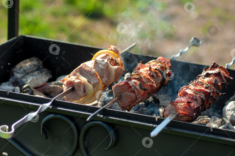 Скачать Шашлык из свинины на шпажках, запеченный на углях, сырое мясо, шесть шпажек с мясом. фотосток Ozero