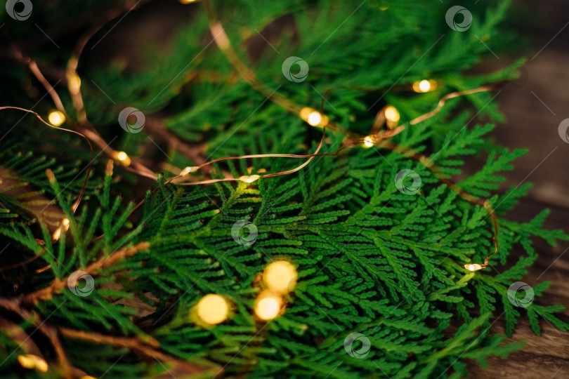 Скачать Фон рождественских огней из зеленых ветвей туи. Праздничная блестящая гирлянда и ветки на поверхности деревянных досок. фотосток Ozero