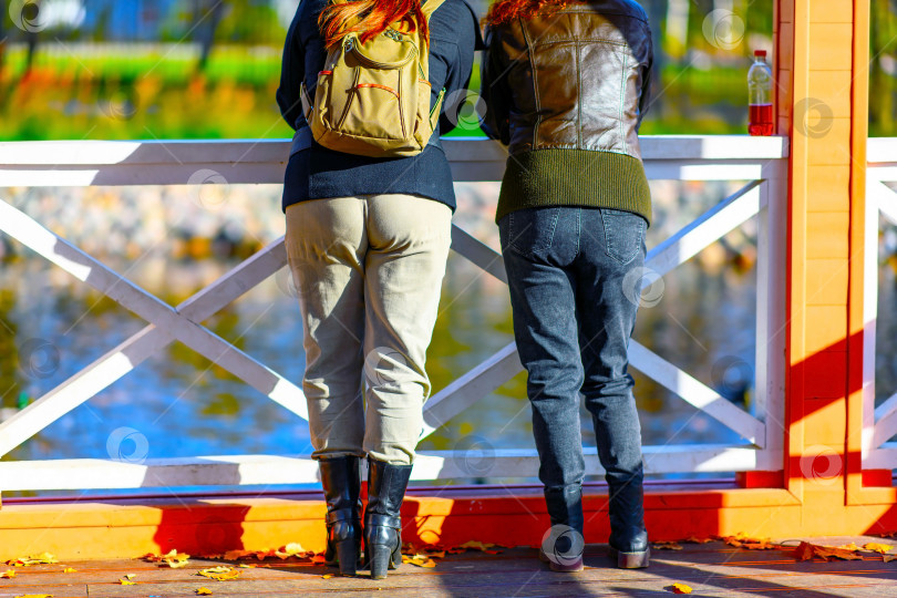 Скачать Вид сзади на подруг, стоящих вместе в парке на закате или восходе солнца в теплых лучах солнца возле пруда. Концепция женской встречи для общения фотосток Ozero
