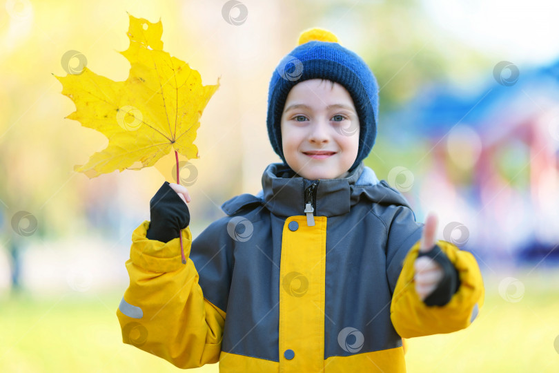 Скачать Осенний портрет ребенка на прогулке в парке. Малыш держит в руке осенний желтый кленовый лист и улыбается. Счастливый мальчик в осеннем лесу на открытом воздухе фотосток Ozero
