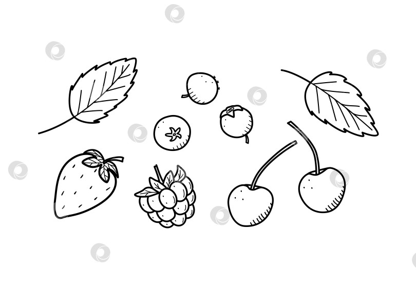 Скачать Значки с каракулями из летних сладких ягод. Эскиз векторной иллюстрации с листьями малины, клубники, черники, вишни и мяты. фотосток Ozero
