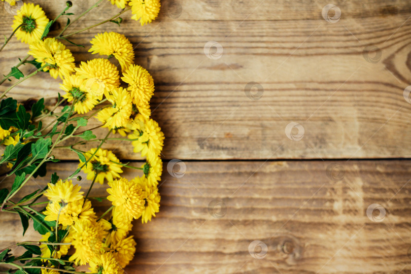 Скачать Желтые цветы на старом коричневом деревянном фоне.Осенние маленькие хризантемы. фотосток Ozero