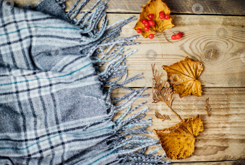 Скачать Теплый клетчатый шарф с бахромой лежит на светлом деревянном фоне. Концепция комфорта и тепла. фотосток Ozero