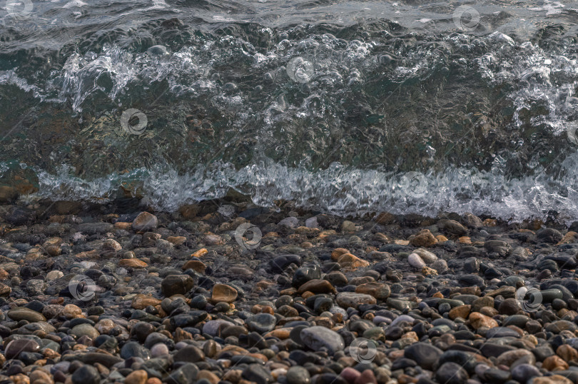 Скачать Прозрачная волна и галечный пляж. фотосток Ozero