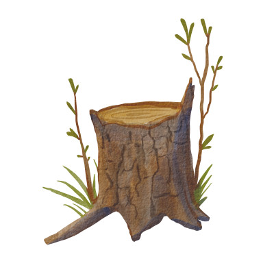 [object Object] undefined