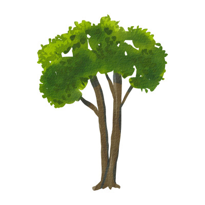 [object Object] undefined
