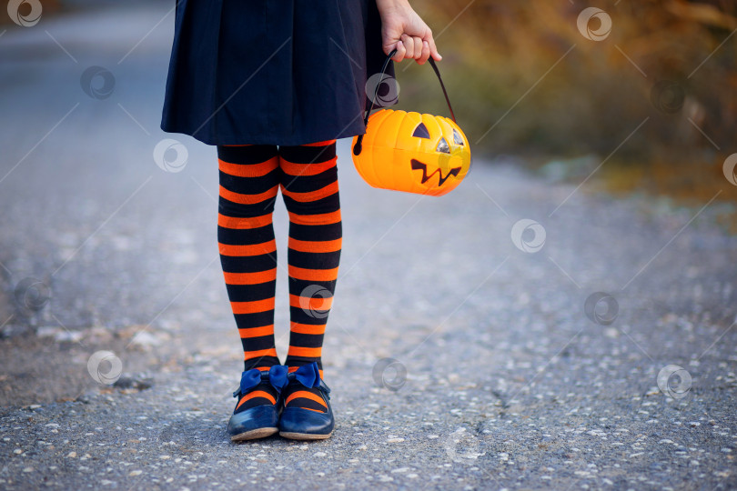 Скачать Девушка в полосатых гетрах держит вазу для конфет в виде тыквы на Хэллоуин фотосток Ozero