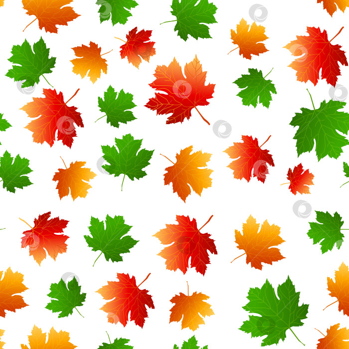 Скачать Разноцветный осенний бесшовный узор из осенних кленовых листьев на белом или прозрачном фоне фотосток Ozero