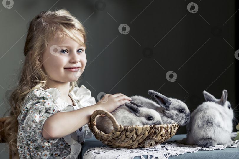 Скачать Маленькая девочка с длинными светлыми волосами в деревенском доме играет с серыми кроликами на столе. Пасха. Сбор урожая фотосток Ozero