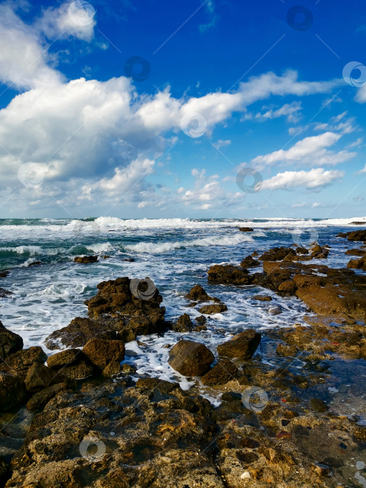 Скачать Морской пейзаж Средиземноморского побережья фотосток Ozero