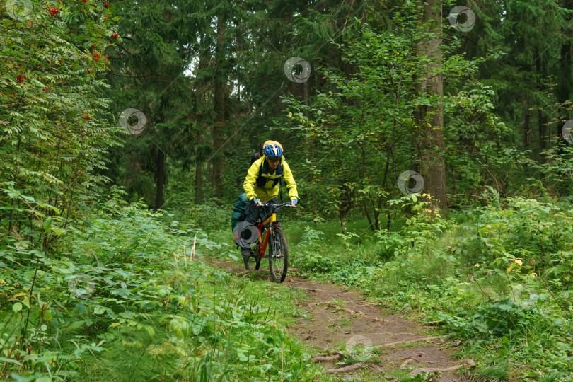 Скачать велосипедист на тропе в горном лесу фотосток Ozero
