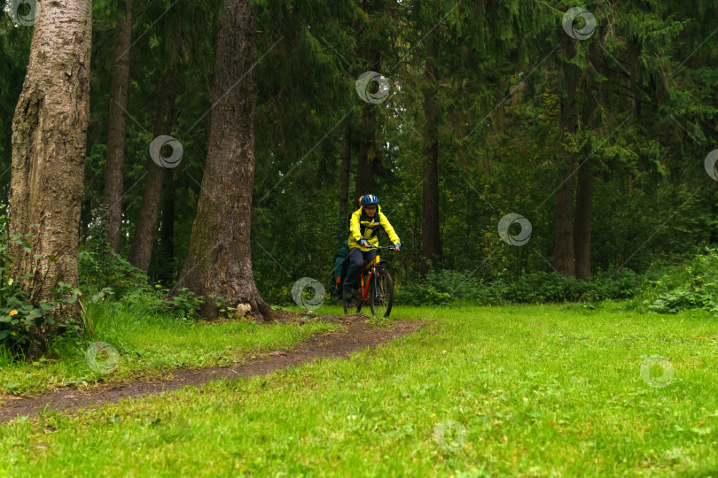 Скачать снаряженный турист на велосипеде едет по тропе в лесу фотосток Ozero