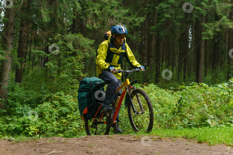Скачать турист на велосипеде пересекает овраг в еловом лесу фотосток Ozero