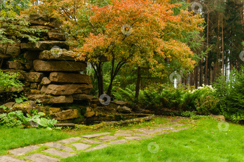 Скачать лужайка среди декоративных кустарников с дорожкой и искусственным камнем. фотосток Ozero