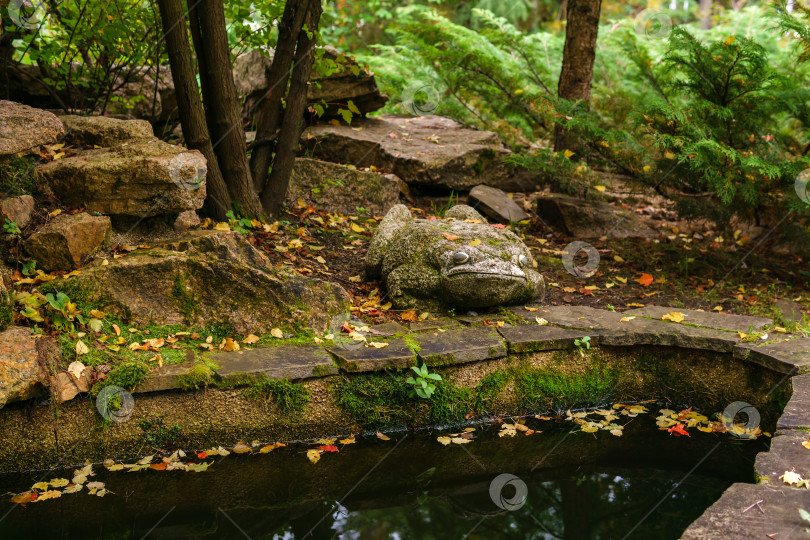 Скачать замшелая каменная садовая скульптура жабы у пруда фотосток Ozero