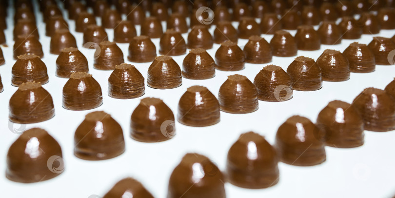 Скачать шоколадные начинки на конвейере кондитерской фабрики cl фотосток Ozero
