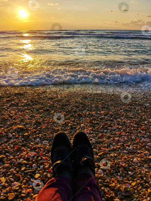 Скачать Ноги в кроссовках на пляже фотосток Ozero