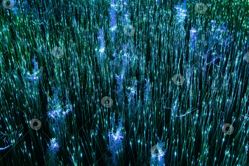 Скачать абстрактный фон, сухая трава, освещенная волшебным светом фотосток Ozero