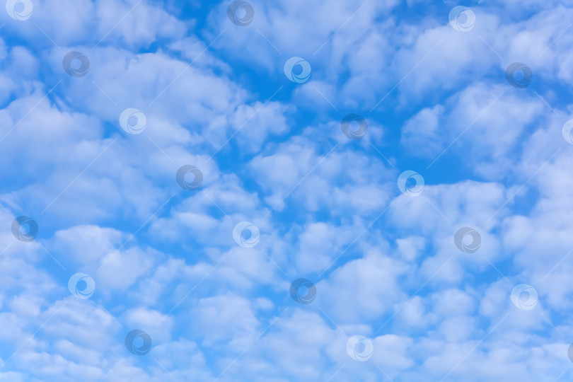 Скачать фон - голубое небо с перисто-кучевыми облаками фотосток Ozero