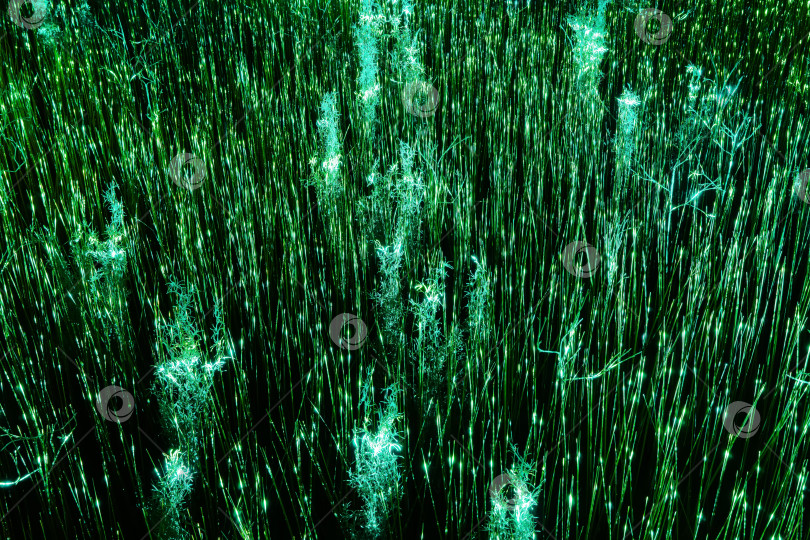 Скачать абстрактный фон - светящаяся трава фотосток Ozero