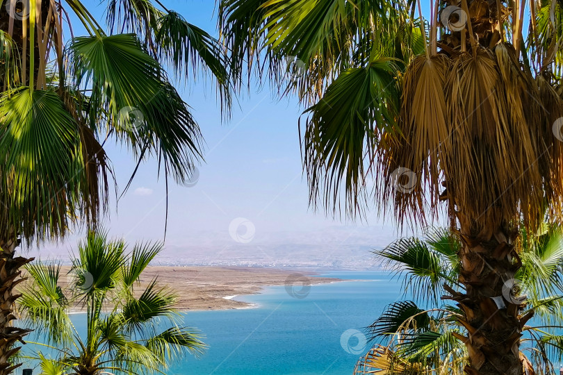Скачать Мертвое море Пляж Калия Израиль фотосток Ozero