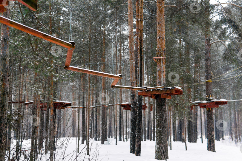 Скачать Парк приключений на верхушках деревьев в зимнем лесу фотосток Ozero