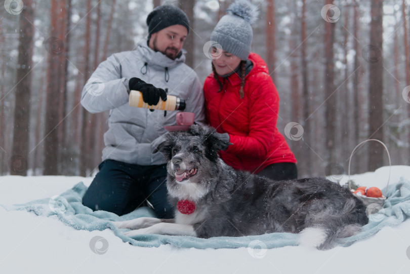 Скачать молодая пара с собакой устраивают пикник в заснеженном лесу, сосредоточившись на фотосток Ozero