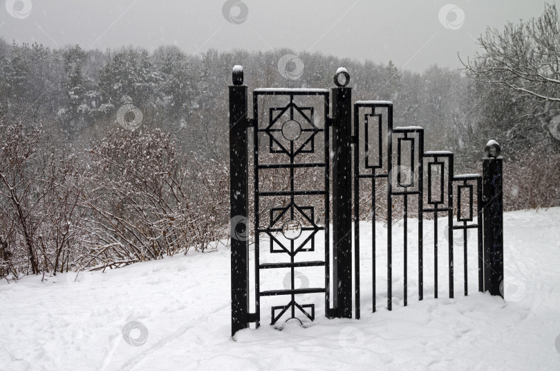 Скачать Снегопад в лесопарке. фотосток Ozero