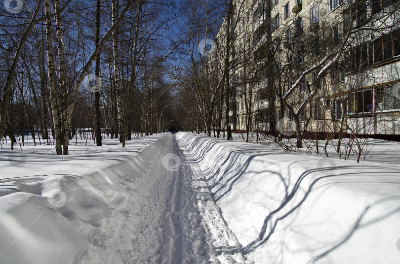 Скачать Снежная зима в Москве. фотосток Ozero