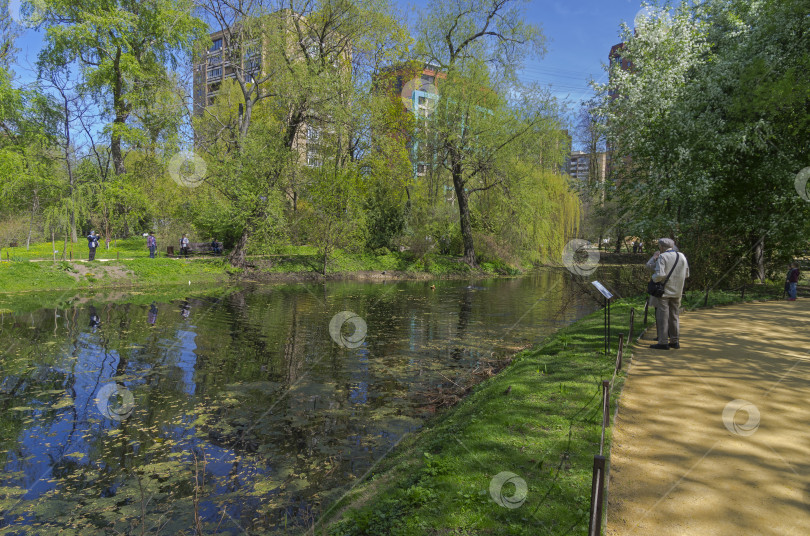 Скачать Старый пруд в ботаническом саду фотосток Ozero