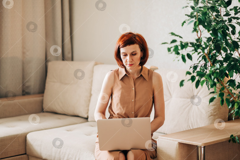 Скачать Молодая женщина смотрит на ноутбук, сидит дома на диване. Симпатичная леди получает новую возможность удаленной работы, читает новости по электронной почте на диване в помещении фотосток Ozero