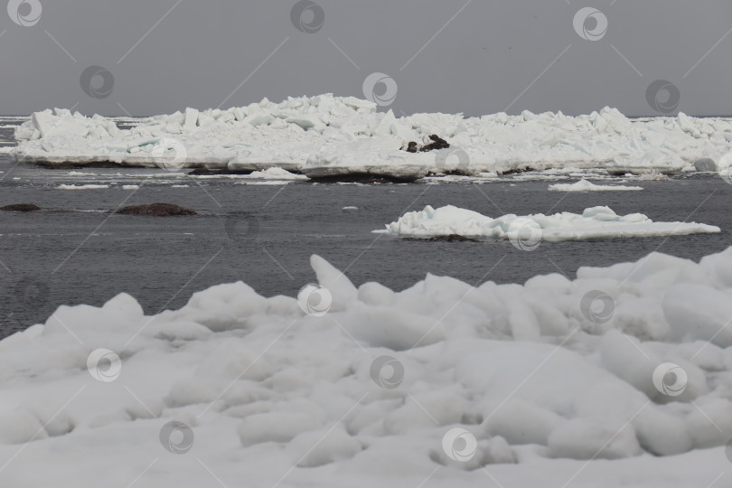 Скачать Лед в Охотском море у берегов Сахалина фотосток Ozero