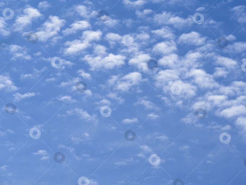 Скачать Множество маленьких белых облачков бегут по кристально-голубому небу. Красивый фотосток Ozero