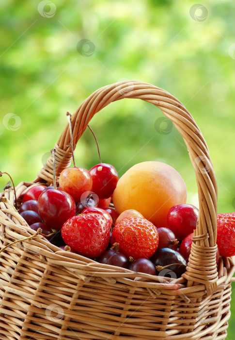 Скачать Плетеная корзина с ягодами и фруктами на фоне листвы фотосток Ozero