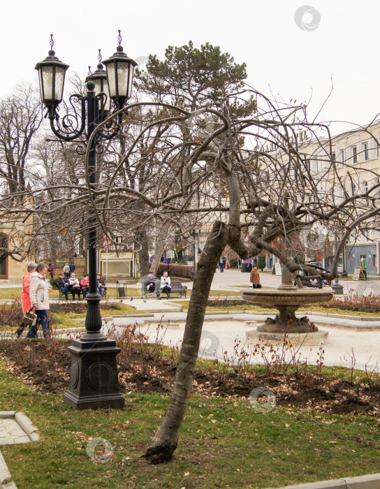 Скачать Фонарь и елка в городе. фотосток Ozero