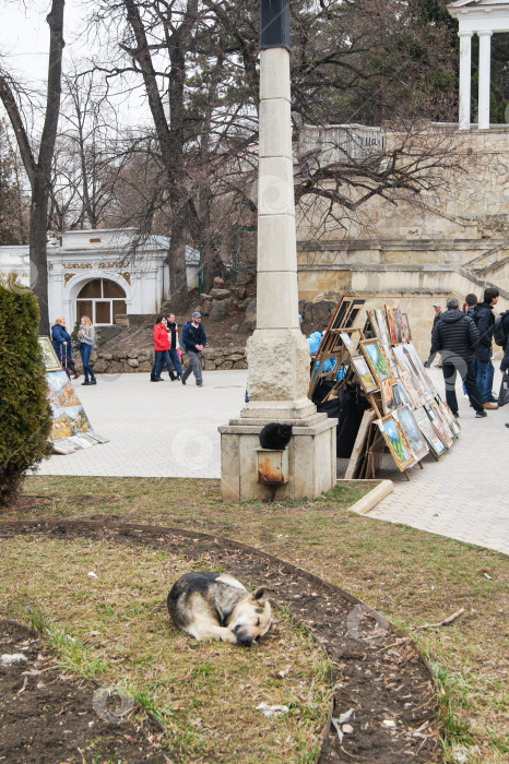 Скачать Спящая собака на лужайке. фотосток Ozero