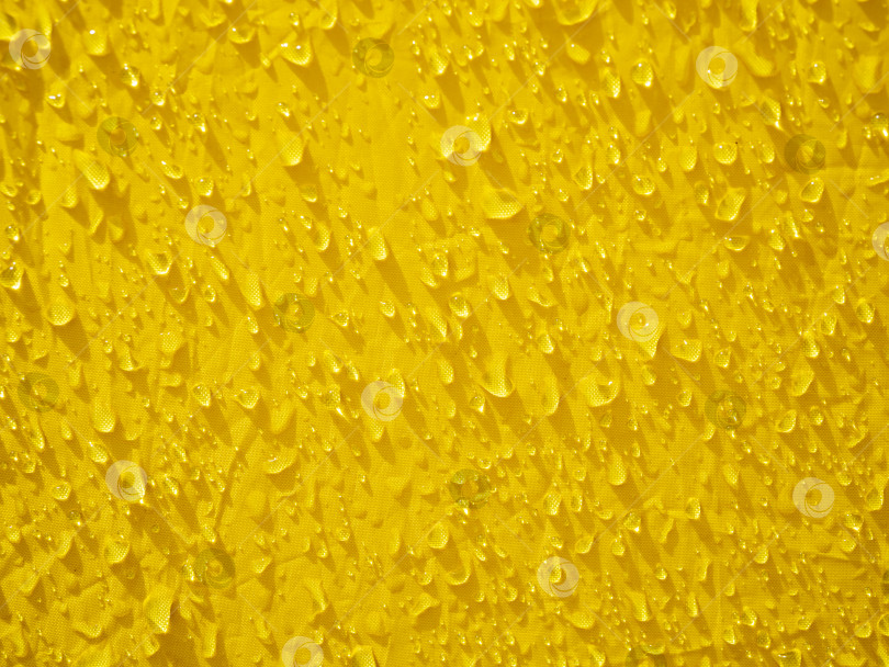 Скачать Капли дождя на желтом тенте подсвечиваются ярким солнцем фотосток Ozero