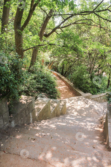 Скачать Дорожки и лестницы ботанического сада. фотосток Ozero