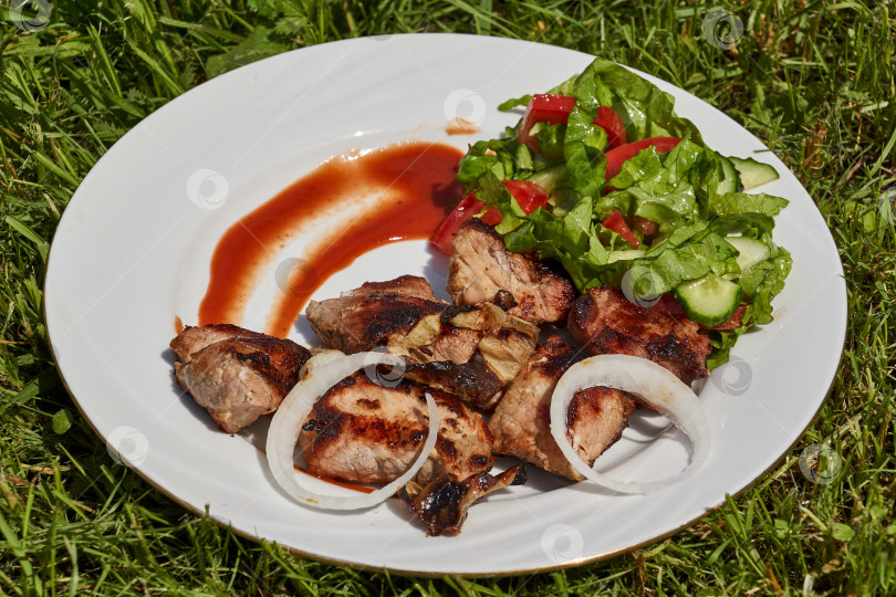 Скачать Шашлык с луком, овощным салатом и соусом на тарелке. Обед на травянистой лужайке. фотосток Ozero