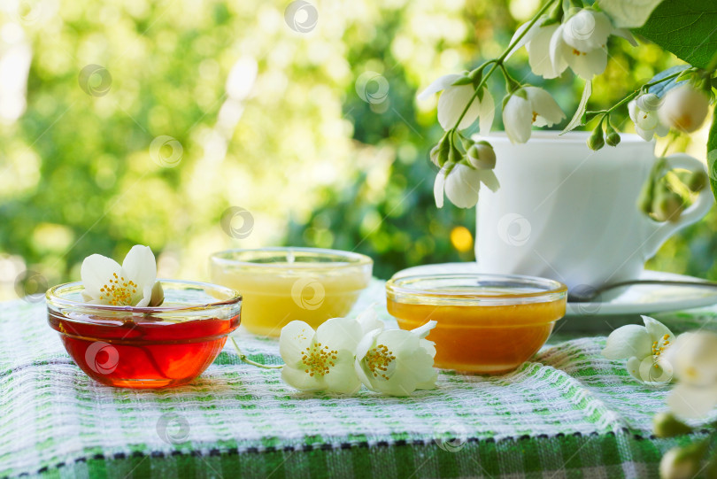 Скачать Три миски с медом и чашка чая на столе под кустом жасмина. фотосток Ozero