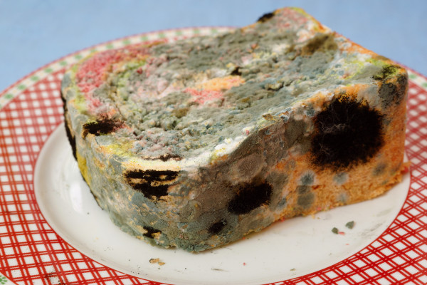 [object Object] undefined
