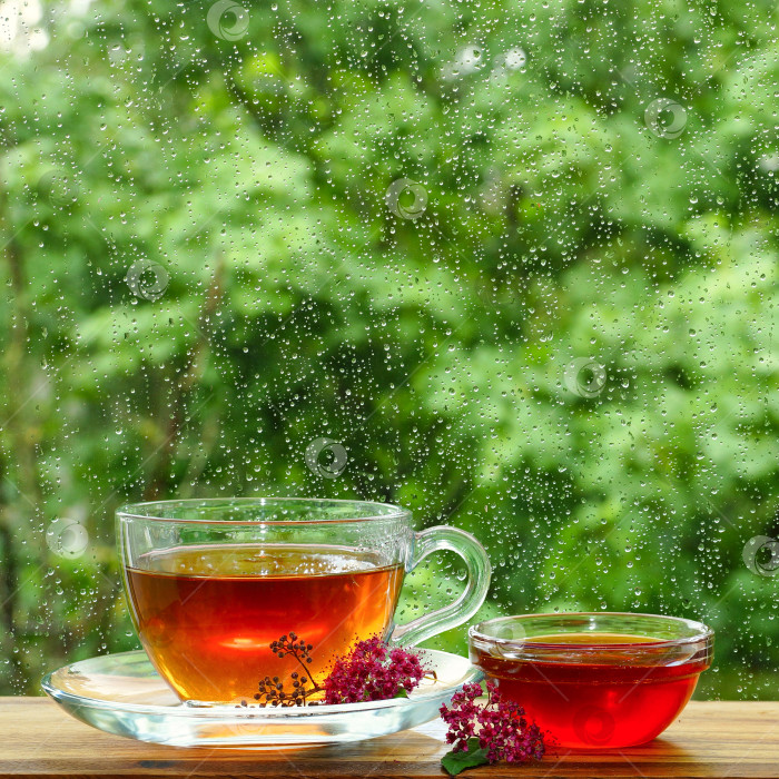 Скачать Чашка чая и мед у окна. Окно в каплях дождя фотосток Ozero