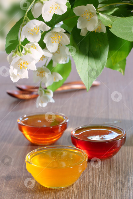 Скачать Липовый, цветочный и каштановый мед в стеклянных мисках под веткой жасмина фотосток Ozero