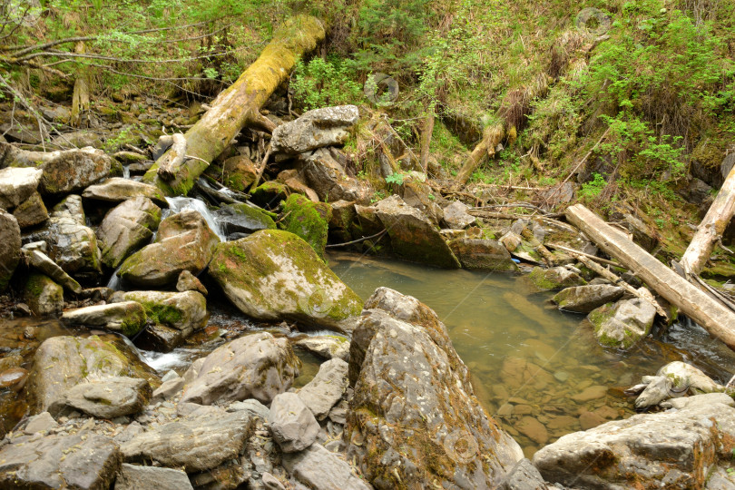 Скачать Небольшая заводь, окруженная большими камнями и поваленными деревьями, с текущим горным ручьем в пасмурный летний день. фотосток Ozero