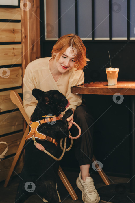 Скачать Женщина со своим домашним питомцем щенком французского бульдога сидит в кафе для собак и обращает внимание на собаку фотосток Ozero
