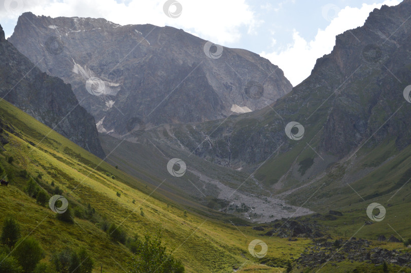 Скачать Альпийские луга дома фотосток Ozero