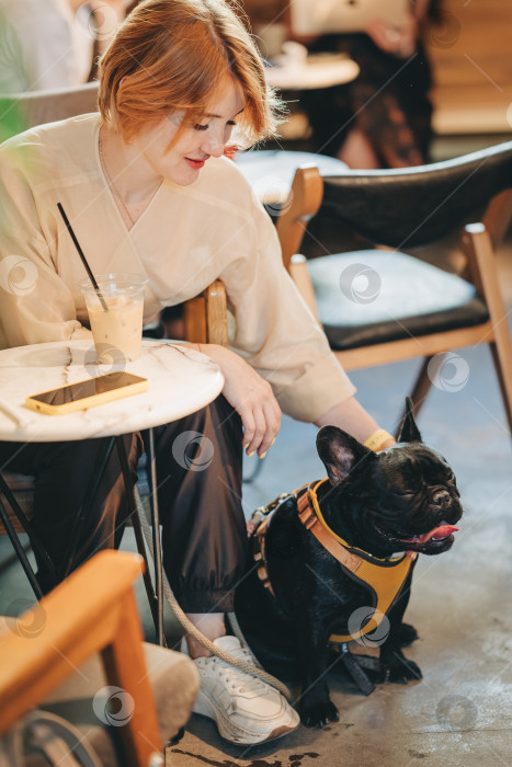 Скачать Женщина со своим домашним питомцем щенком французского бульдога сидит в кафе для собак и обращает внимание на собаку фотосток Ozero