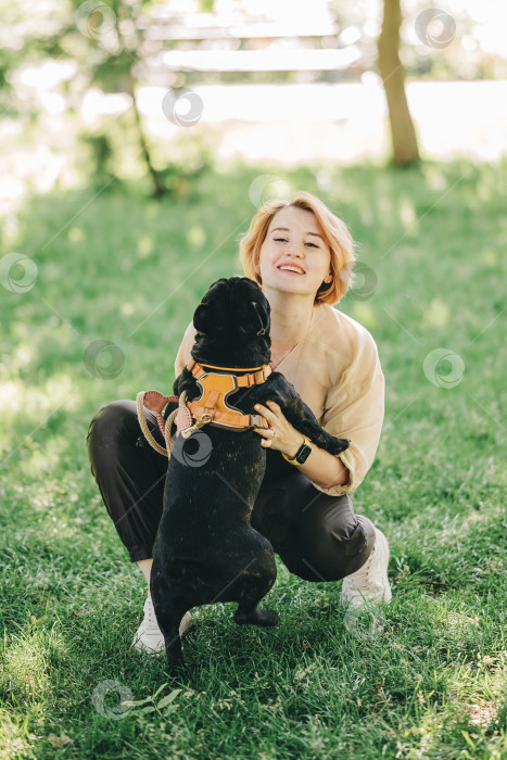 Скачать Щенок черного французского бульдога обнимается с девушкой-владельцем, лежащей на лужайке в парке на открытом воздухе летом весенним днем, целующейся, обнимающейся, ласкающей. Счастливая женщина с собакой на улице фотосток Ozero